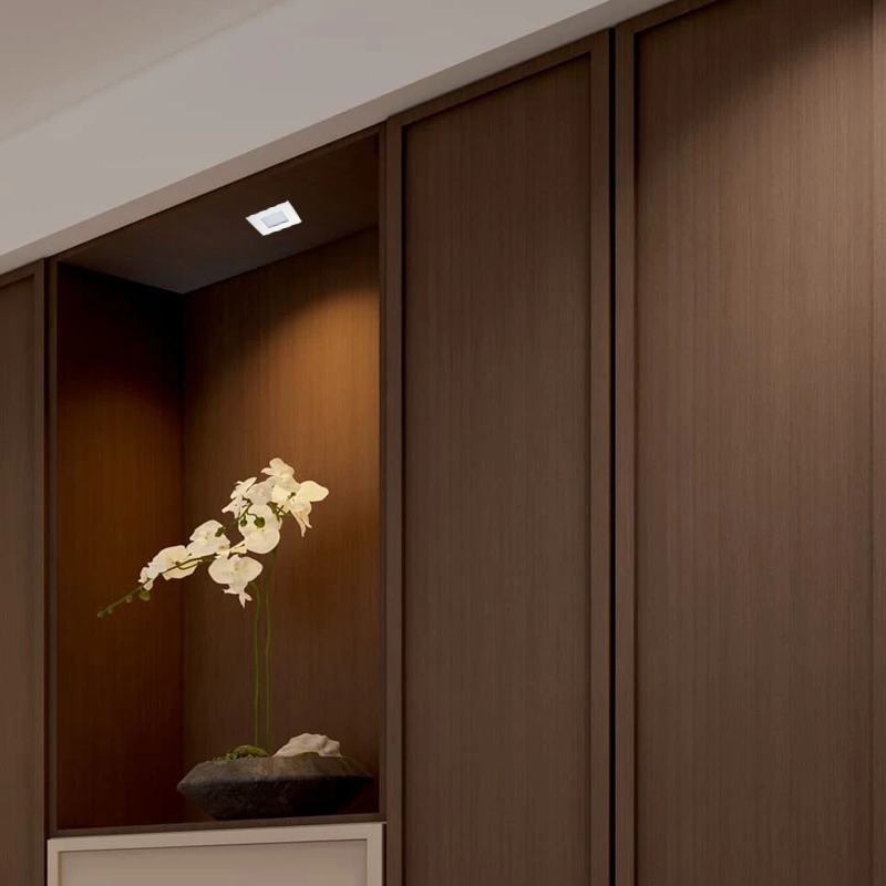 BW-DLR901 product visual.jpg