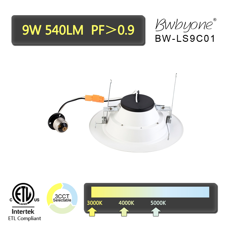 BW-LS9C01 back view.jpg