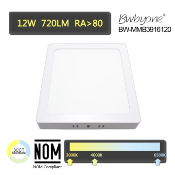 12W 1080LM BW-MMB3916120 LED Flush Mounted Square Ceiling Light