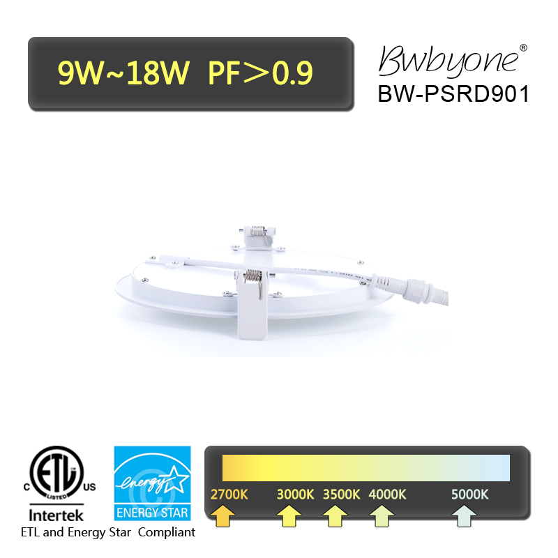 BW-PSD901 back view.jpg