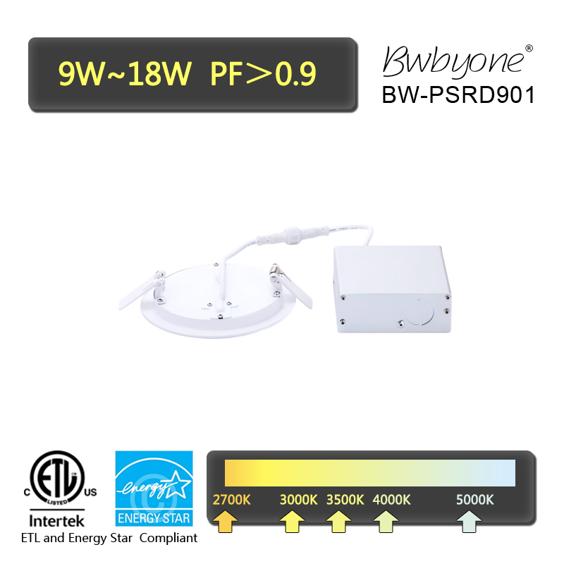 BW-PSD901 back view2.jpg