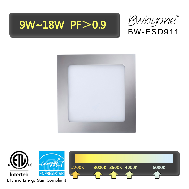 BW-PSD911 Vorderansicht.jpg
