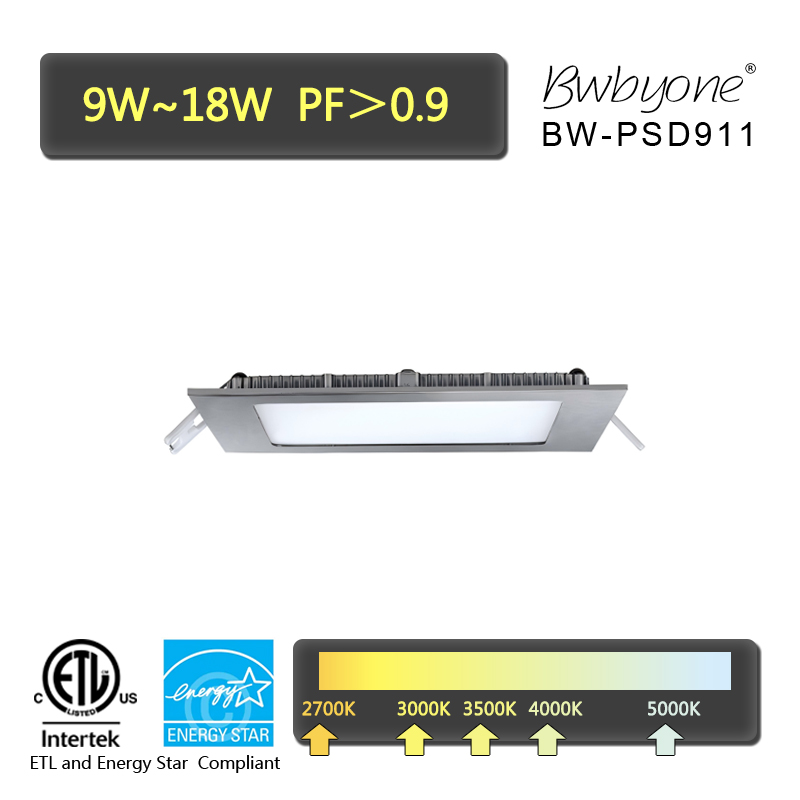 BW-PSD911 Seitenansicht.jpg