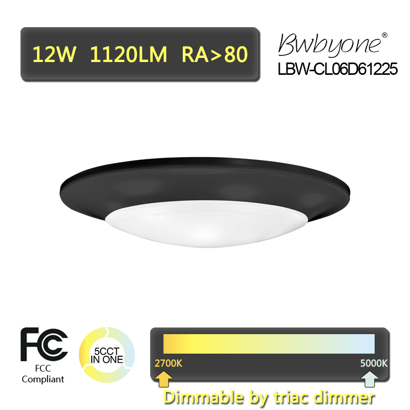 LBW-CL06D61225 Vorderansicht schwarz.jpg