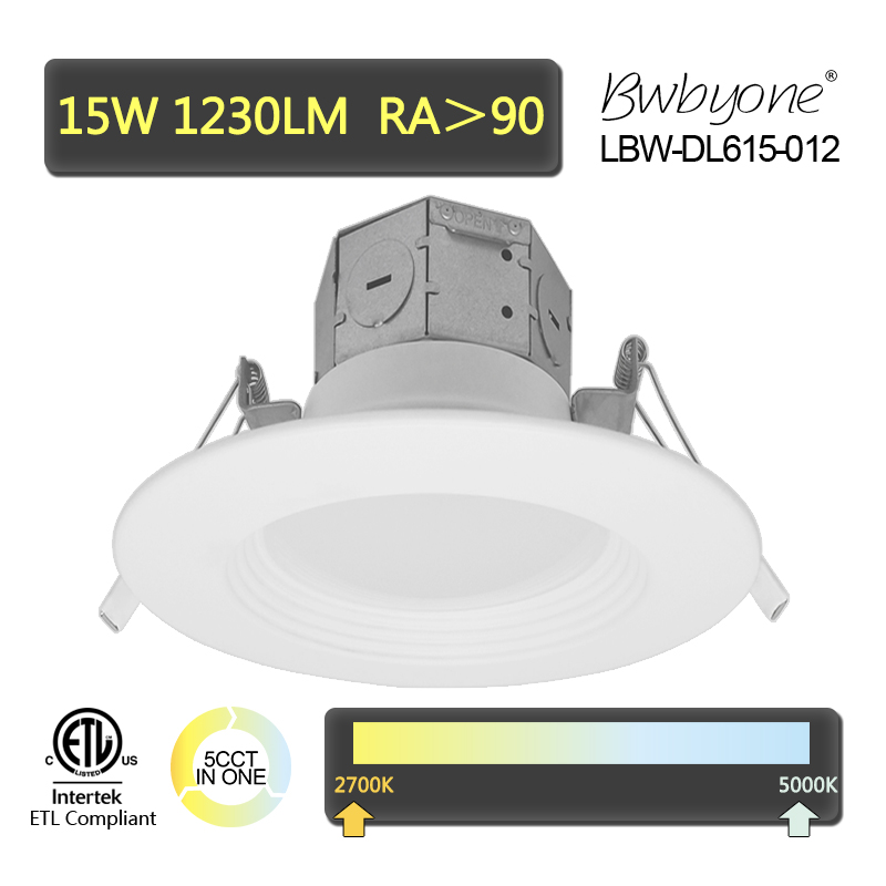 LBW-DL615-012 front view.jpg