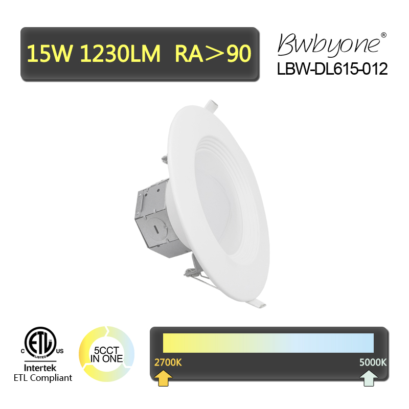 LBW-DL615-012 side view.jpg