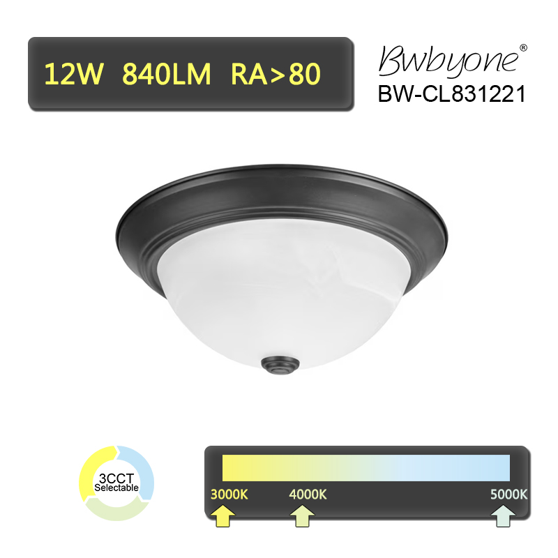 BW-CL831221 front view.jpg