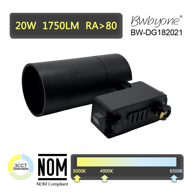 BW-DG182021 back view.jpg