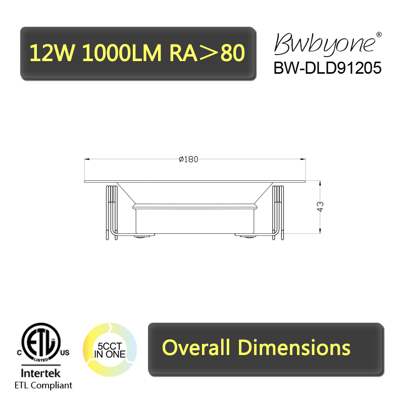 BW-DLD61205 line drawing.jpg