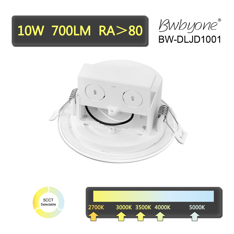 BW-DLJD1001 back view.jpg