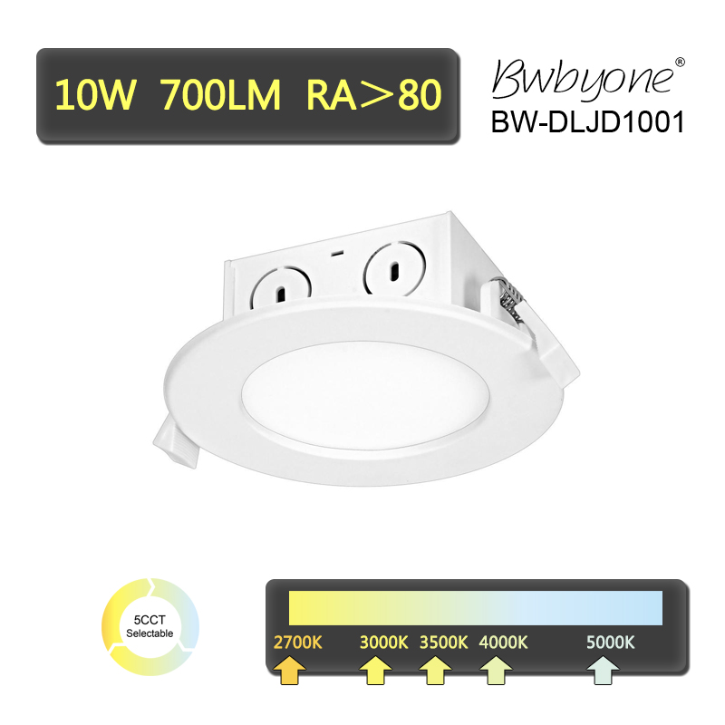 BW-DLJD1001 side view.jpg