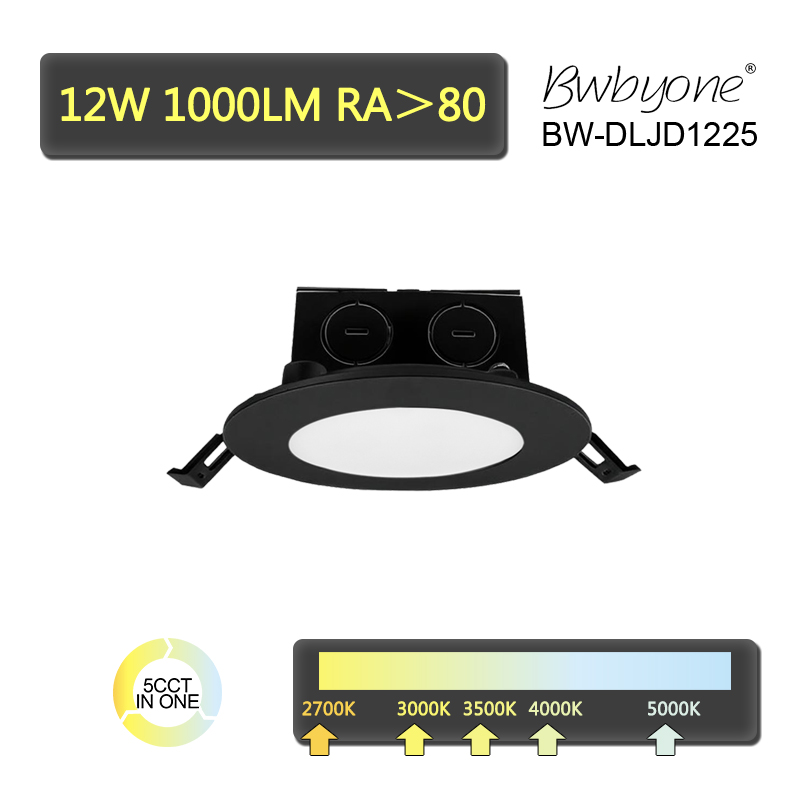 BW-DLJD1225 front view.jpg