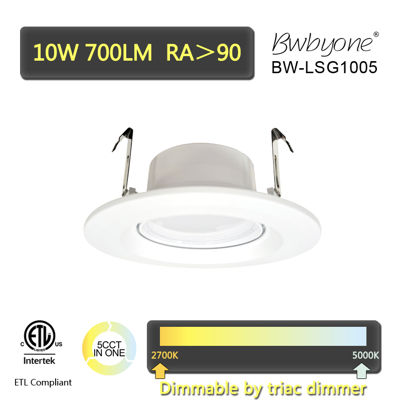 BW-LSG1005 front view2.jpg