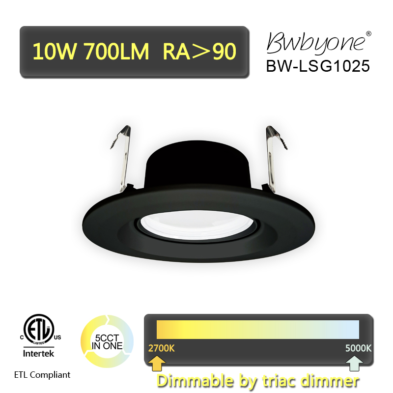 BW-LSG1025 front view.jpg