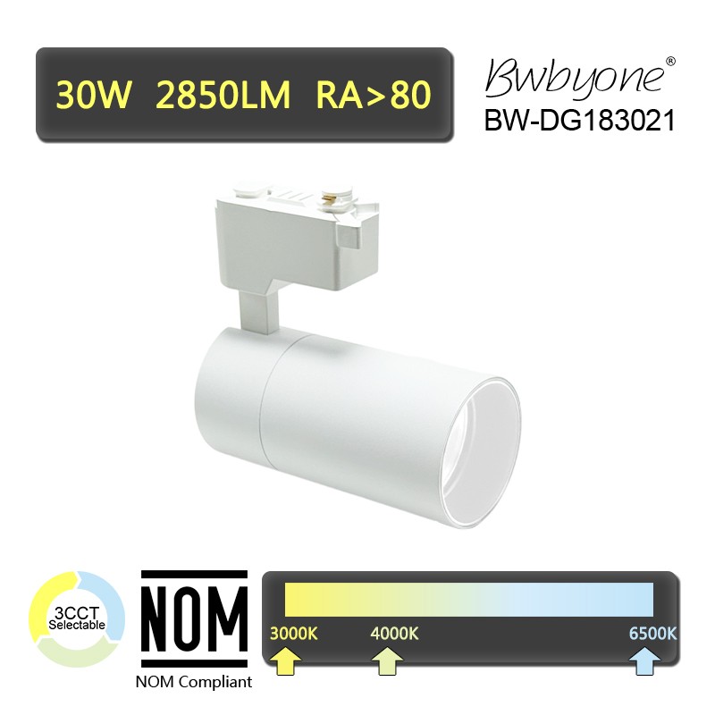 BW-DG183001.jpg