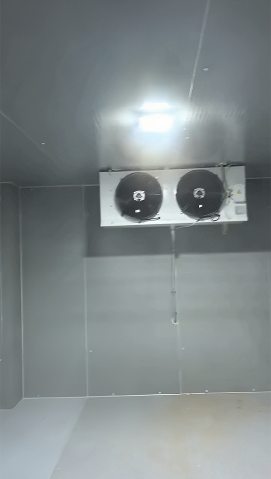 Projekt dvojnega temperaturnega hlajenja Shaanxi YSHT s prostornino 36 kubičnih metrov uspešno zaključen