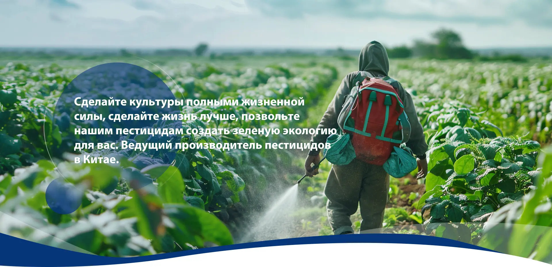 Фунгицид Хлороталонил Для Борьбы С Ранним Фитофторозом