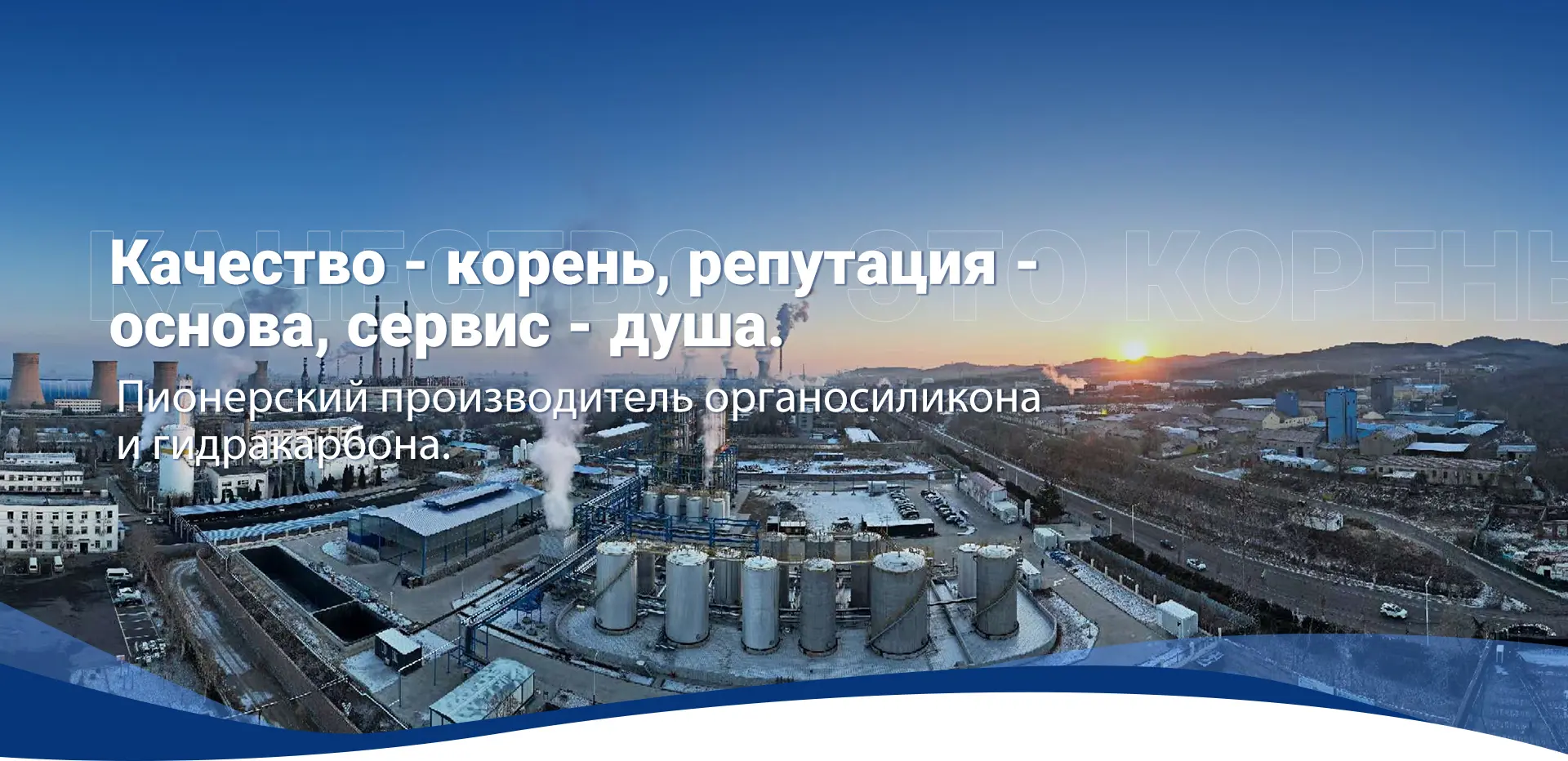 Фунгицид Хлороталонил Для Борьбы С Ранним Фитофторозом