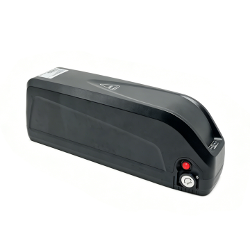 48V Hailong Lithium Battery External Electric Bicyle Battery
