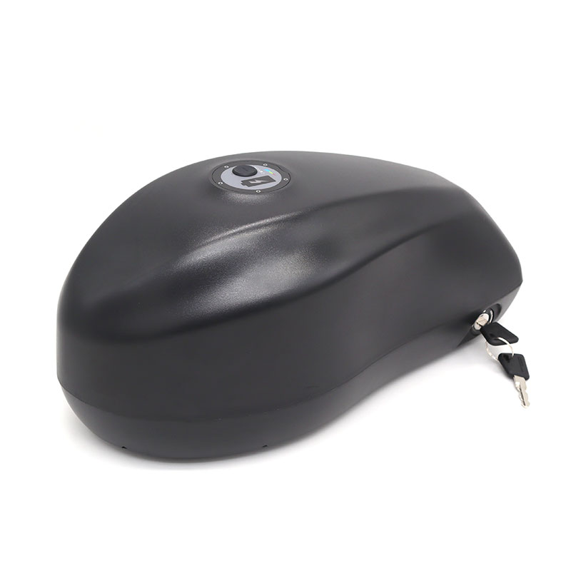 48V Canon 1 External Hanging Electric Bicycle Lithium Battery