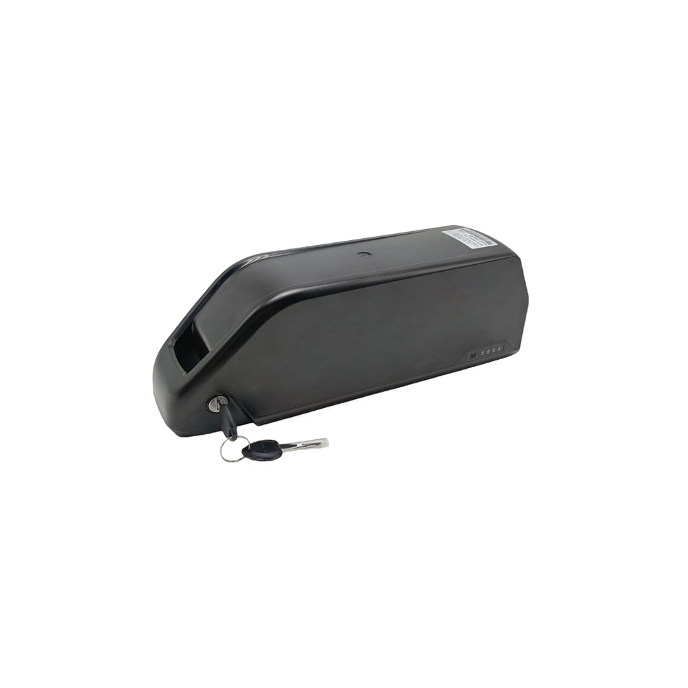 48V Parrot Style External Hanging Electric Bicycle Lithium Battery