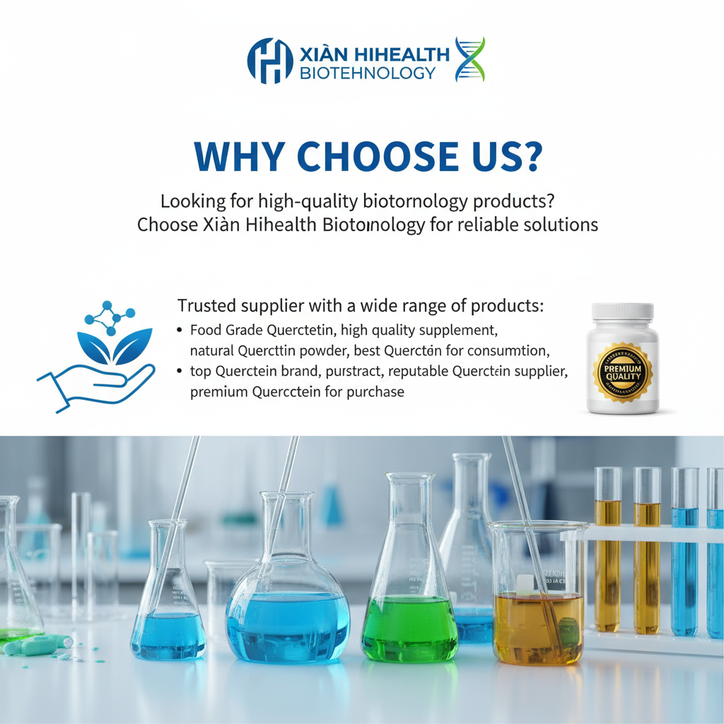 Why Choose Us