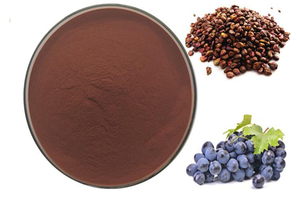98% Procyanidine.png