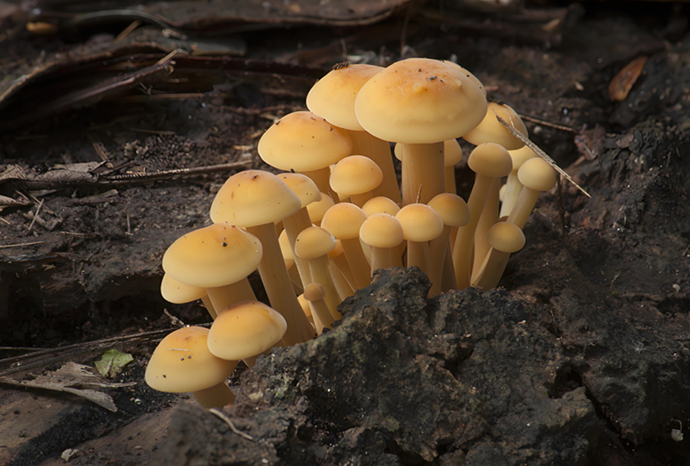 1305fcc8-7245-4507-8262-5ce6585a1a57.jpg
