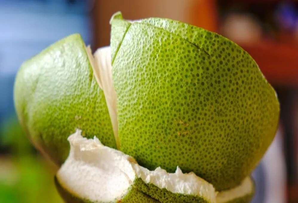 Behandling og bruk av biprodukter av grapefruktskall