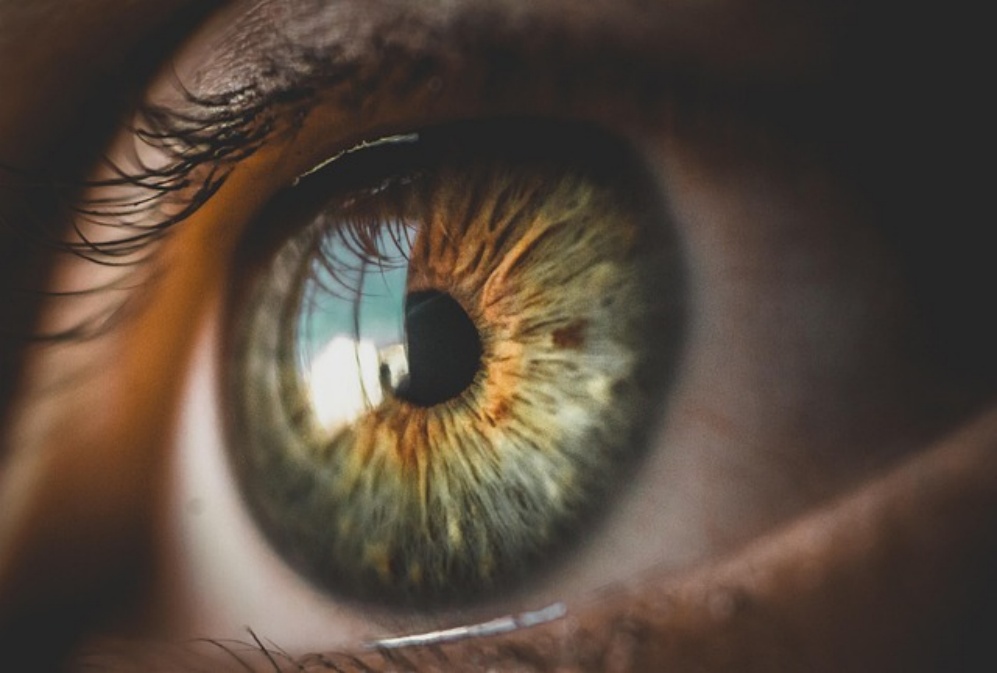 eye-5248678_640.jpg