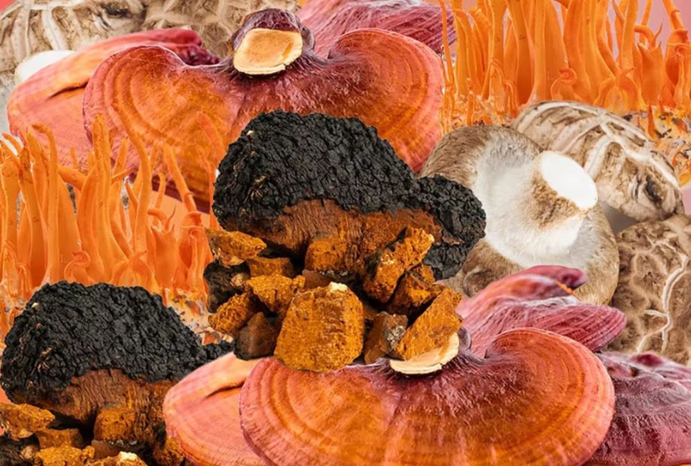 Ingredienser og kategorier verdt å se i kosttilskudd i 2025: sopp, vitamin B12, rødbeter, hydrering...
