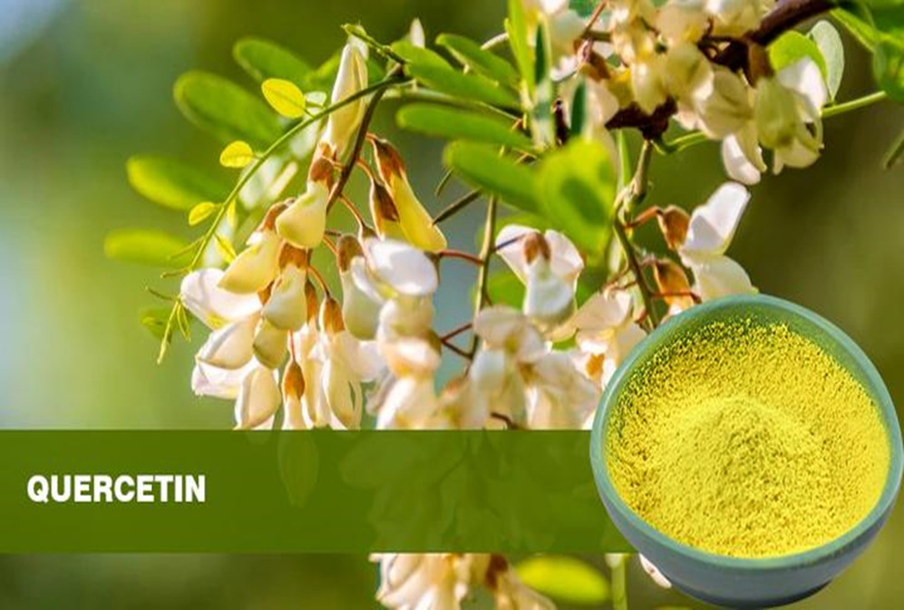 Quercetin's "neuroprotective properties" impact nervous system regeneration and functional recovery