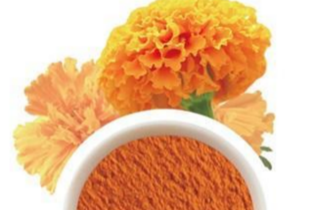 Why is the global supply of lutein so large?
