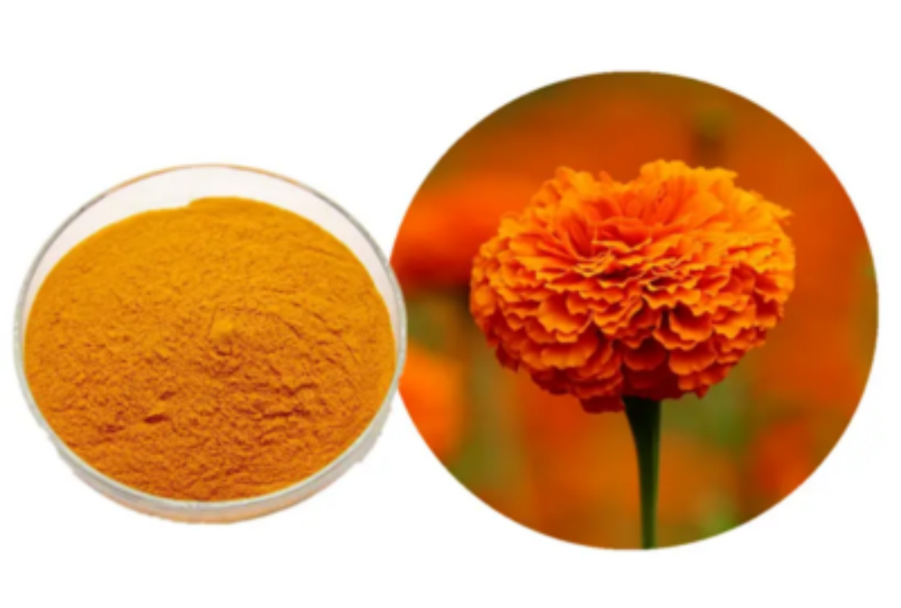 The relationship between lutein and exercise