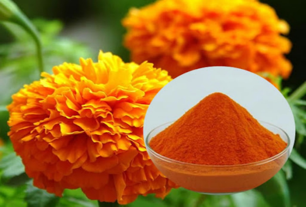 Why are consumers willing to pay a higher premium for plant-based lutein?