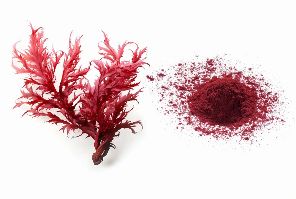 Astaxanthin Emerges as a Multifunctional Health Powerhouse