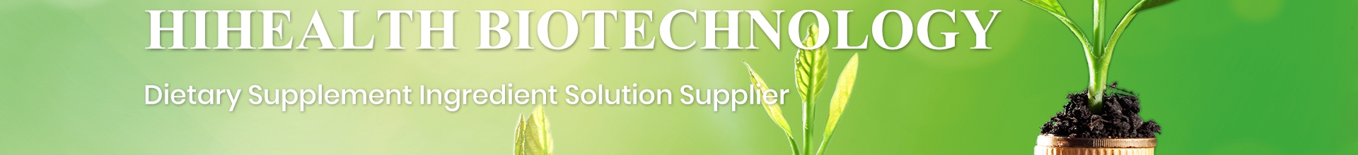 Wholesale Dha Food Supplement