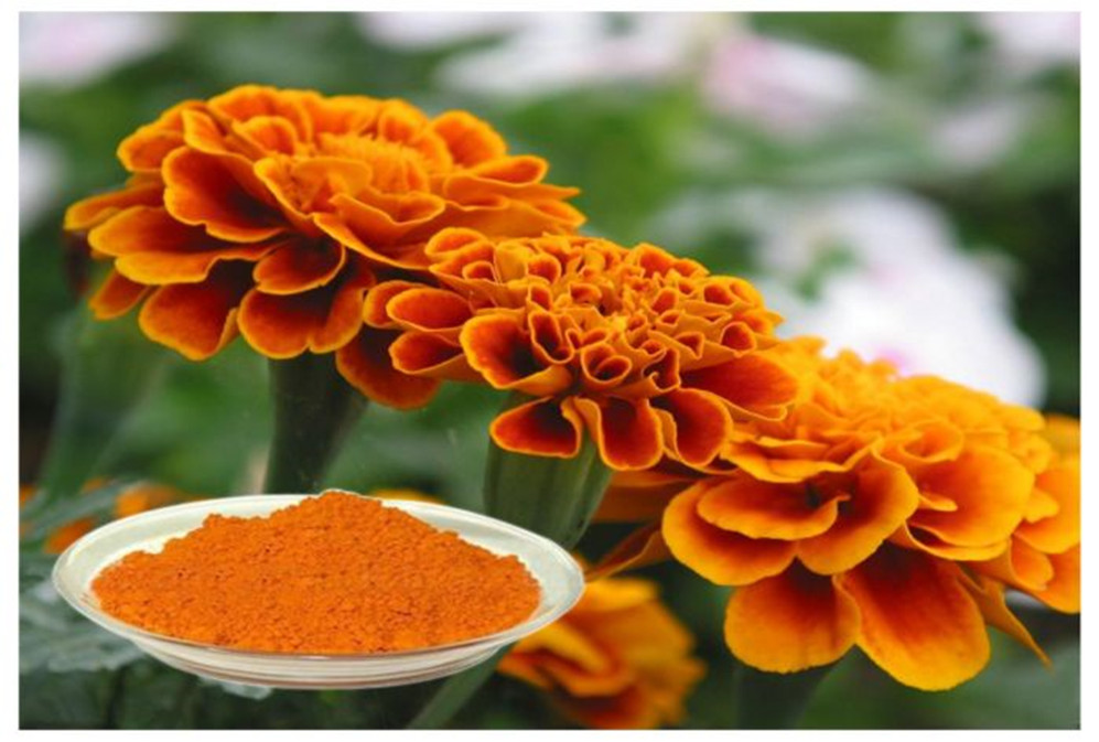 Lutein: Why is it a natural barrier for the eyes?