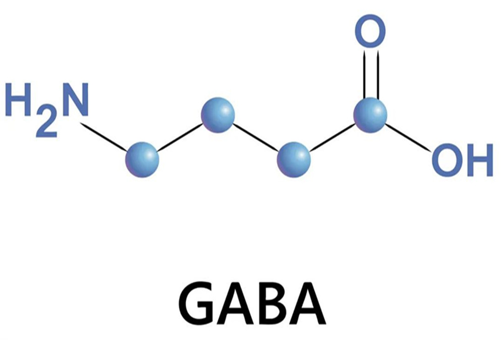 Three hot spots of GABA raw materials: sleep, mood, height, where is the next stop for brand layout?