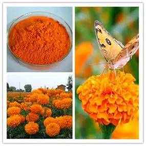 What is Nano-Lutein?