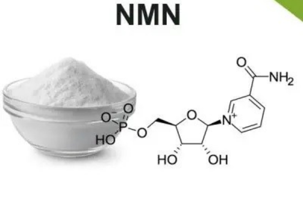 How does NMN empower vegan life from deep within the cells?