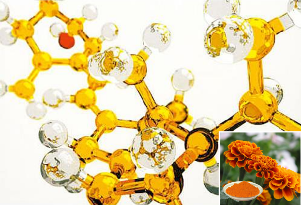 Lutein-A powerful antioxidant, a natural defender against free radical damage