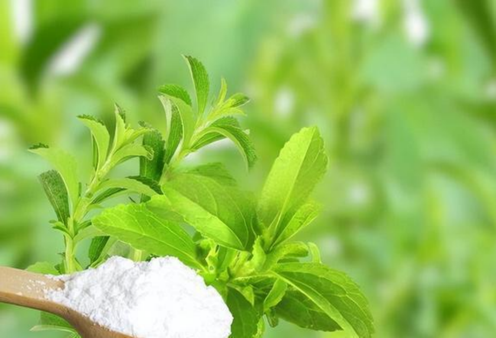 Analysis of the health-promoting effects of plant polysaccharides