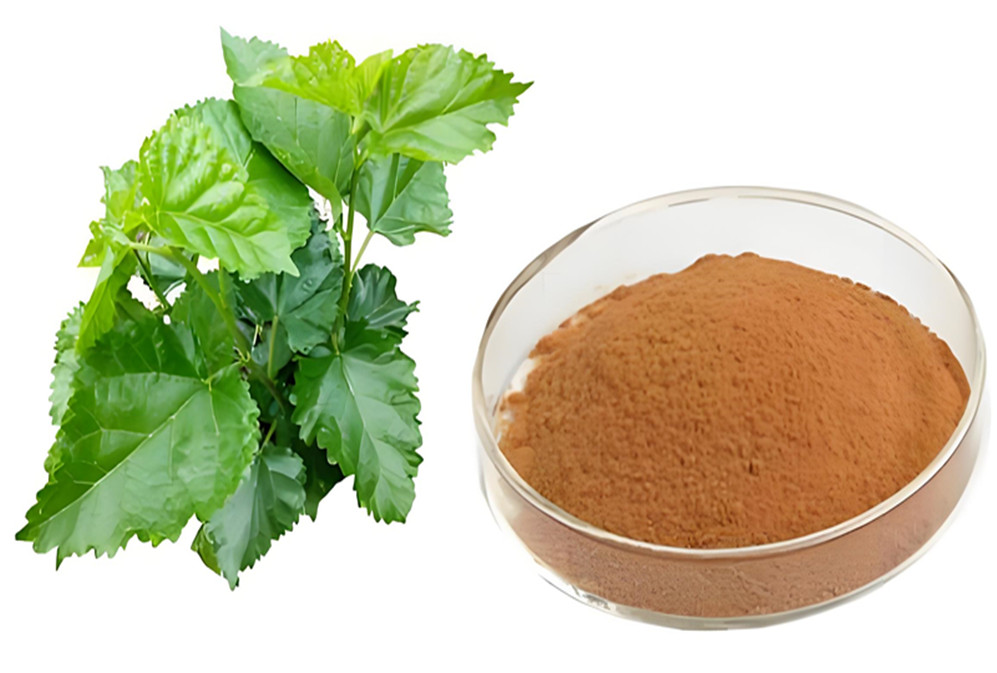 Why has mulberry leaf extract attracted brands like Yuanqi Forest and Sanyuan to enter the market?