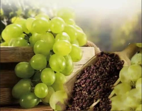 Mechanism of action of grape seed bioactive extract in relieving colitis