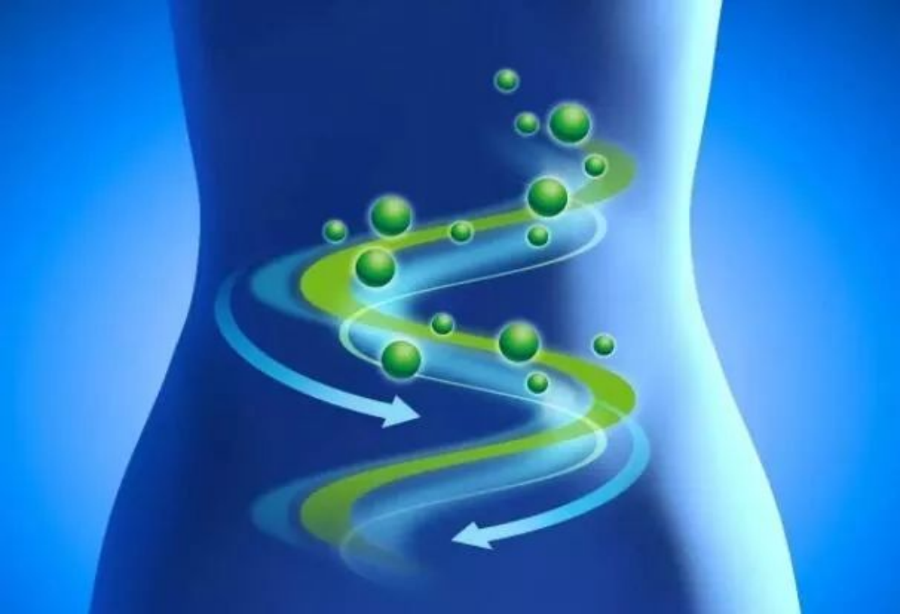 Homeostasis of short-chain fatty acids in the intestine: a key role for bacterial metabolism