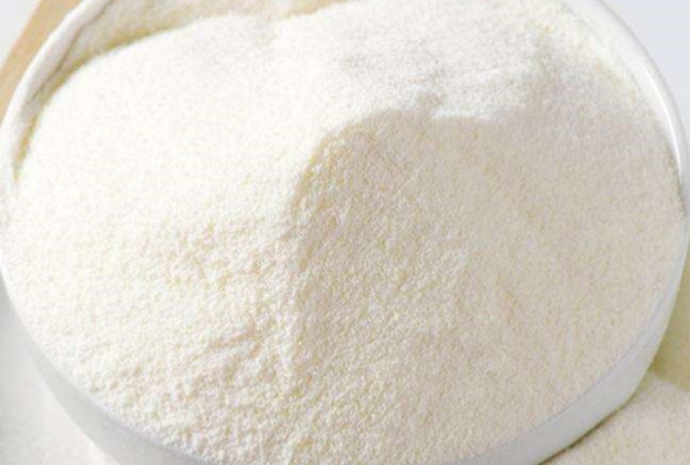 The effects of BCAA, an amino acid that is good for the body