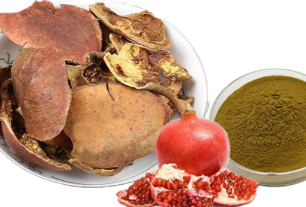 What is Pomegranate Extract?