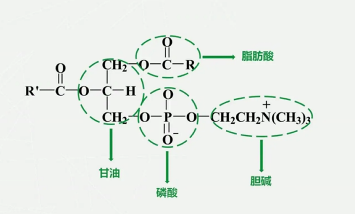 微信图片_20250811160141.png