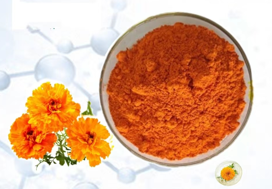 Development of biopolymer-stabilized emulsions to enhance the stability and bioavailability of lutein